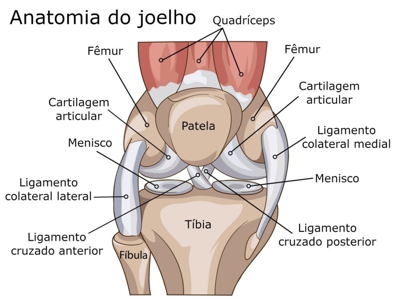 Cartilagem do joelho: como recuperar? - Instituto Trata